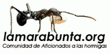 Wiki La Marabunta